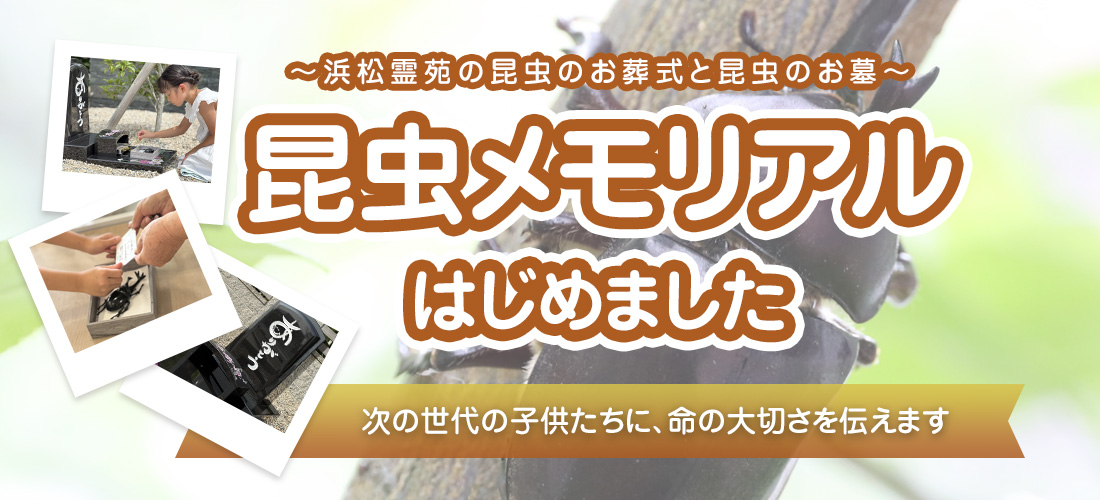 ～浜松霊苑の昆虫のお葬式と昆虫のお墓～昆虫メモリアルはじめました