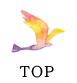 PAGE TOP
