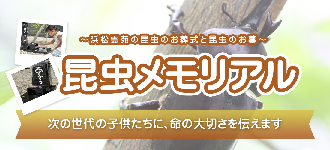 ～こどもたちのための～昆虫メモリアル